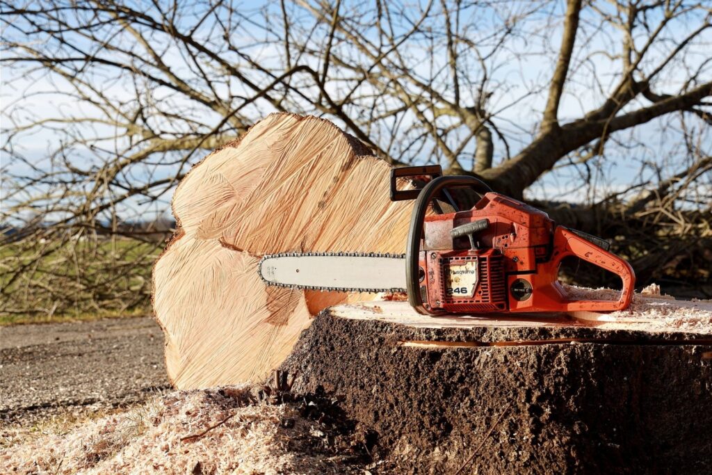 Echo CS 400 Chainsaw – Cut Smarter, Not Harder