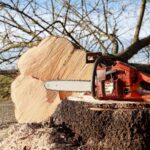 Echo CS 400 Chainsaw – Cut Smarter, Not Harder