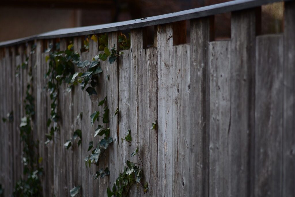 Cedar Fence Board: Style Your Yard