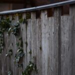 Cedar Fence Board: Style Your Yard