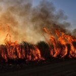 Santa Ana Winds and Wildfire Spread