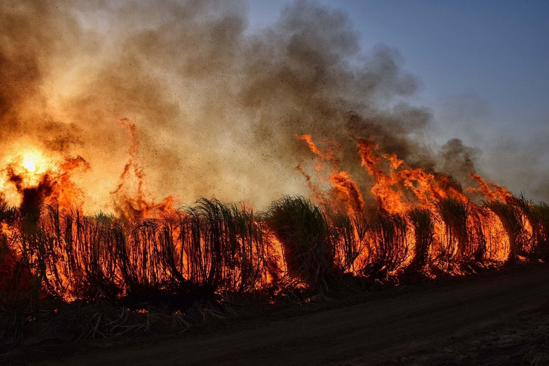 Santa Ana Winds and Wildfire Spread