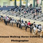 tennessee walking horse celebration photographer​